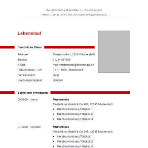 Lebenslauf 11 Lebenslauf 11