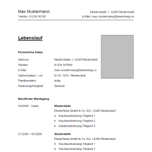 Lebenslauf 12 Lebenslauf 12