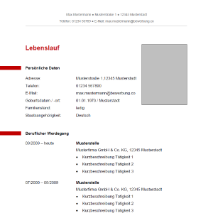 Lebenslauf 8 Lebenslauf 8