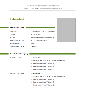 Lebenslauf 9 Lebenslauf 9
