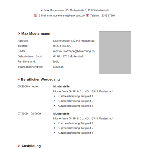 Lebenslauf 13