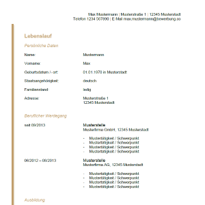 Vorlage / Muster: Tabellarischer-Lebenslauf Vordruck