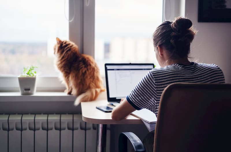 Eine Frau ist im Home Office am Laptop, ihre Katze sitzt am Fenster
