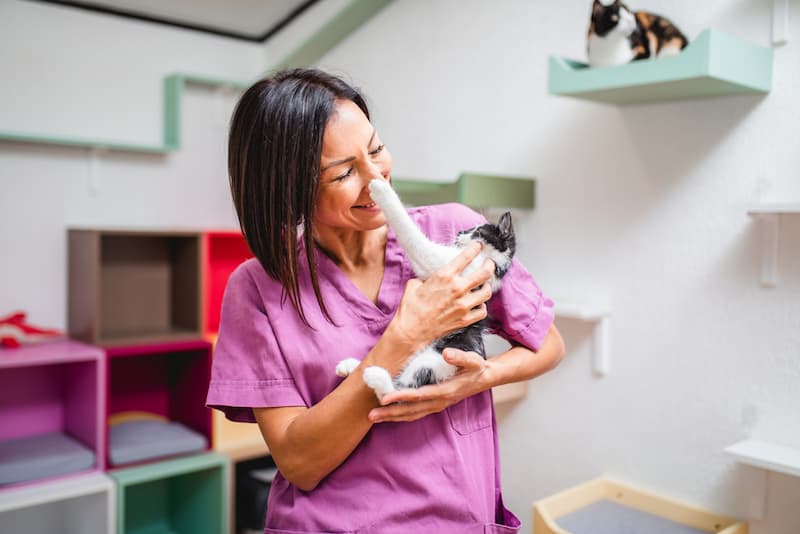 Eine Frau mit einer Katze auf dem Arm, was gibt es für Jobs im Tierheim?