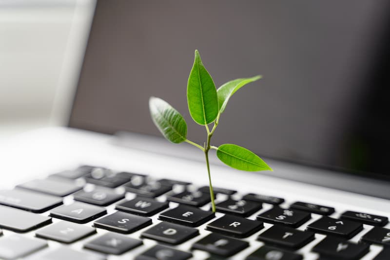 Ein Laptop mit einer Pflanze, wie kann man im Job die Ressourcen schonen?