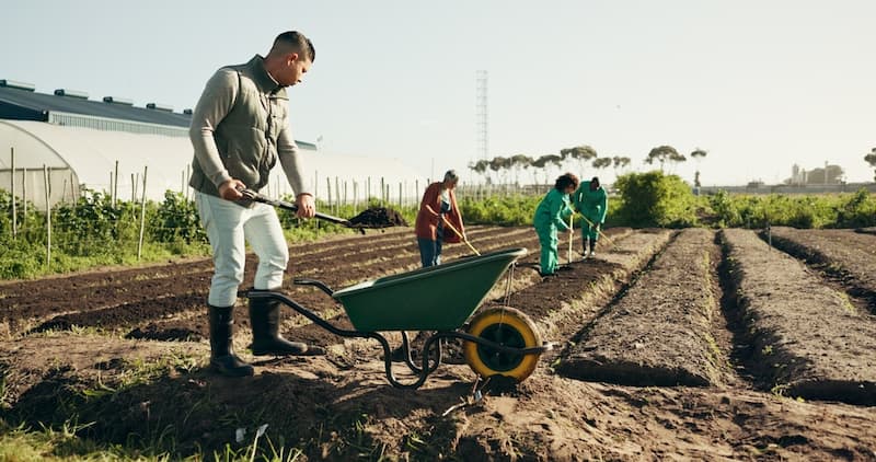 Mehrere Menschen arbeiten auf einem Feld, was sind nachhaltige Jobs?